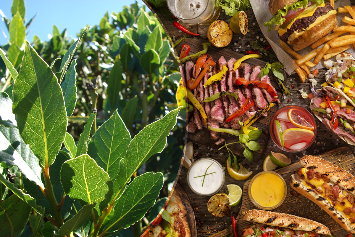 Cat se lasa foile de dafin in mancare