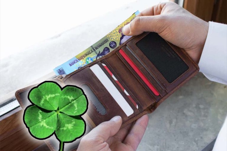 Ce e bine să ții în portofel pentru a atrage banii în viața ta. Cel mai cunoscut truc pentru prosperitate financiară