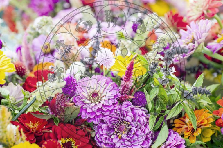 Ce flori îți aduc noroc în funcție de zodie. Atrag abundența și succesul în viața ta