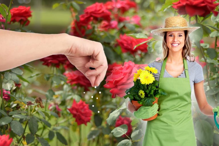 Ce să presari în pământul florilor din ghiveci pentru a scăpa de dăunători. Trucul genial