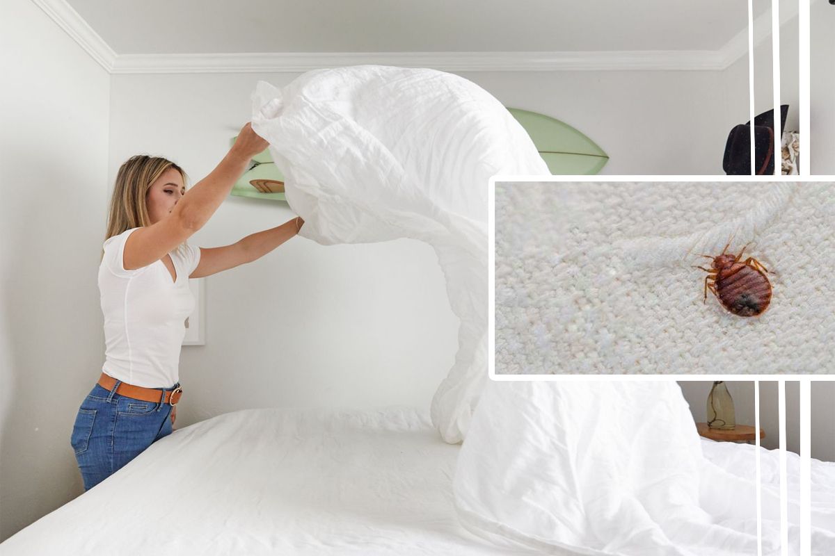 Ce să pulverizezi peste saltea să ții departe ploșnițele. Ingredientul de aur care te ferește de aceste insecte