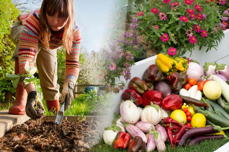 Ce trebuie să faci urgent în grădină pentru ca vara viitoare să ai recolte bogate. Secretul experților îți va schimba viața