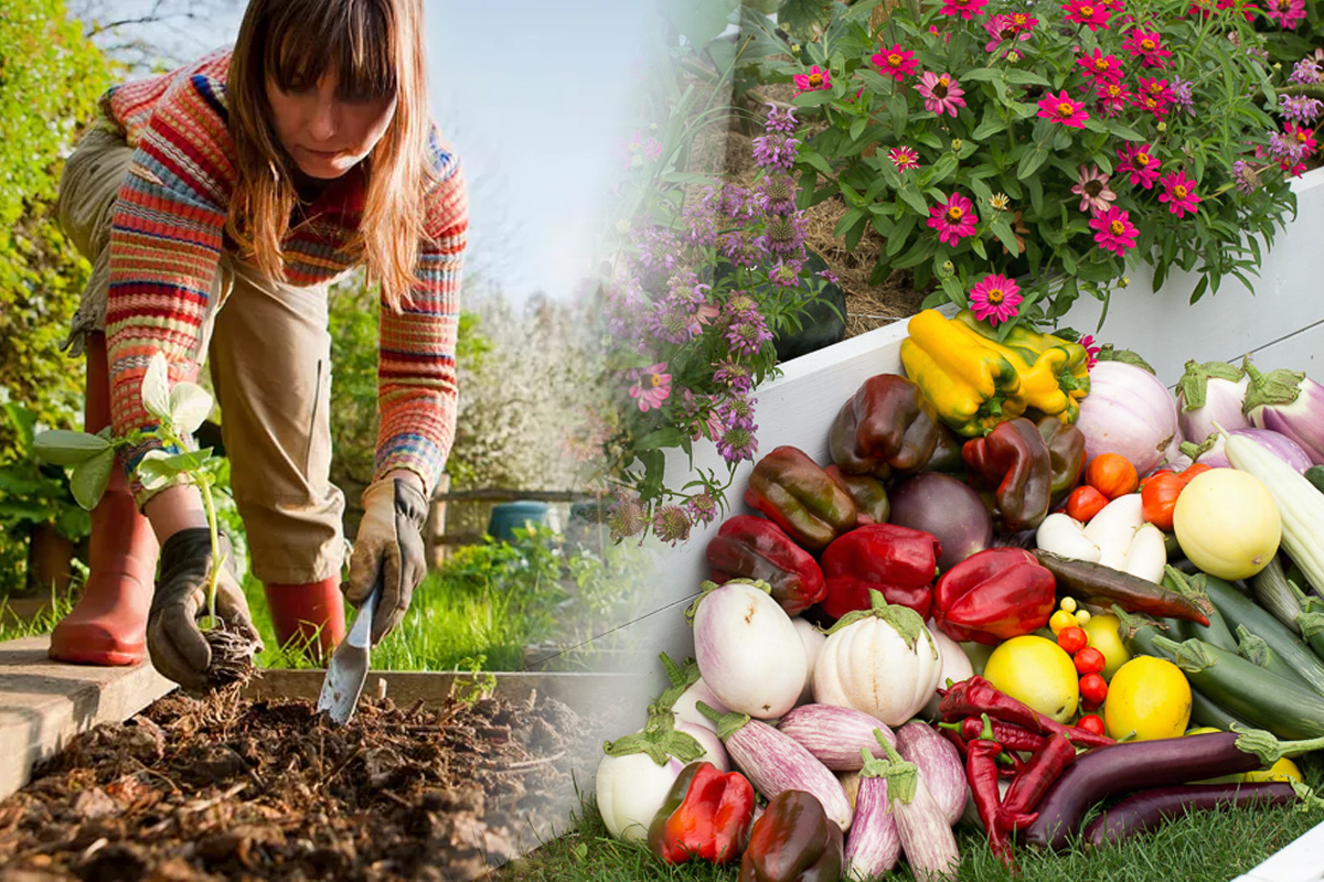 Ce trebuie sa faci urgent in gradina pentru ca vara viitoare sa ai recolte bogate