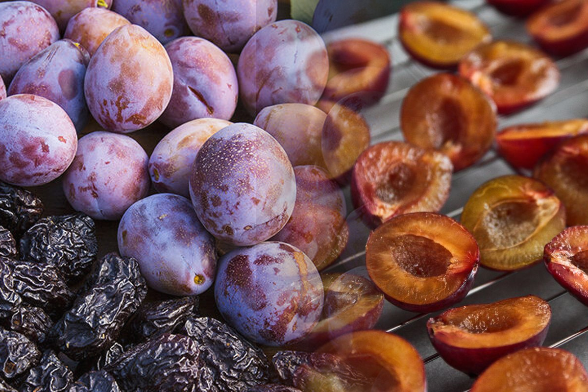 Cum să usuci prunele