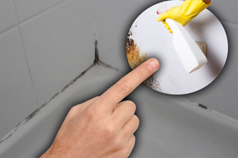 Cum scapi de mucegai. 6 sfaturi și trucuri esențiale care te pot ajuta să rezolvi problema