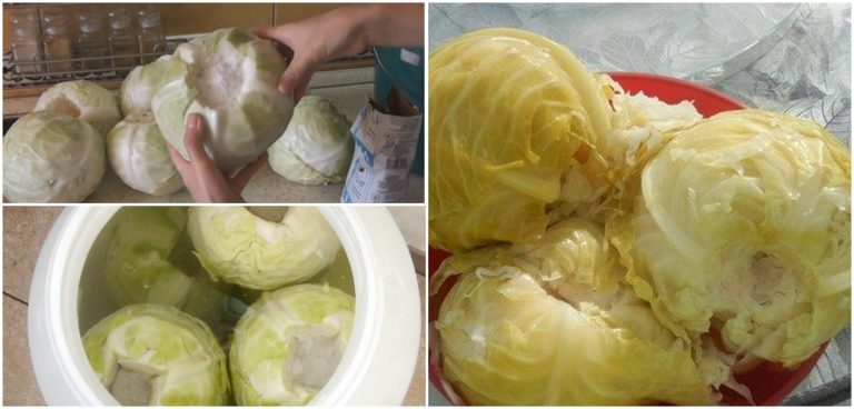 De ce se pune mărar la varza murată. Trucul gospodinelor de la țară pentru o aromă deosebită