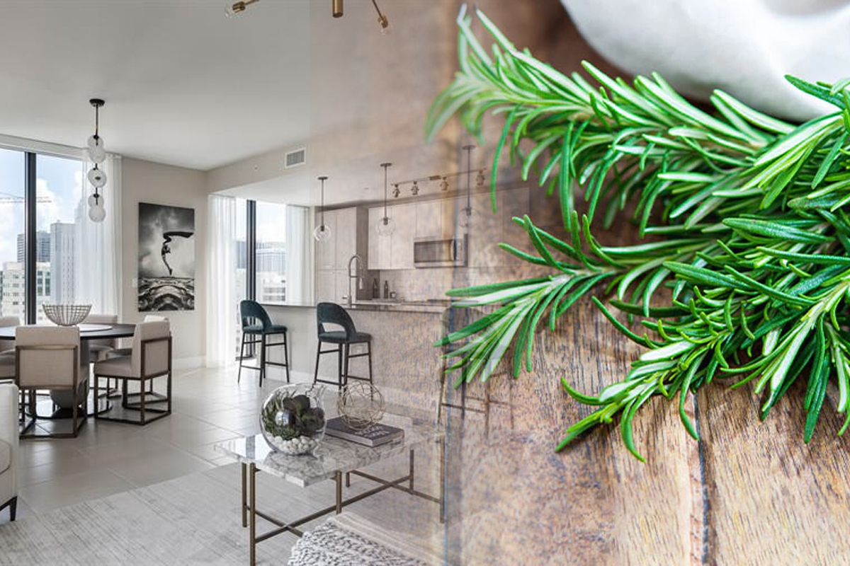 De ce e bine sa arzi rozmarin in casa