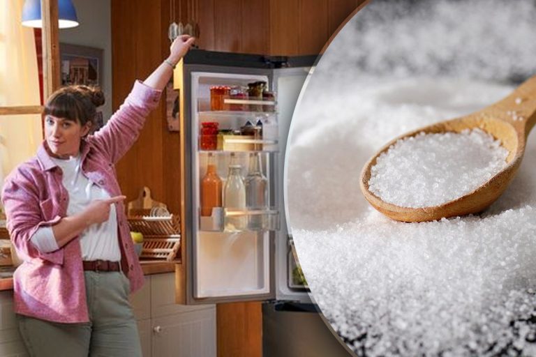 De ce e bine să pui o linguriță de sare în frigider. Trucul te scapă de o mare problemă
