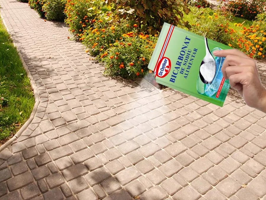 De ce sa presari bicarbonat de sodiu prin curte. Efect uluitor, trucul care iti va usura viata