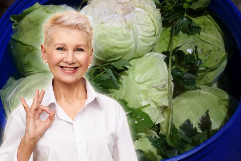 De ce se pun boabe de porumb la varza murată. Ce să mai adaugi în butoi pentru o varză murată ca la carte, trucuri de aur