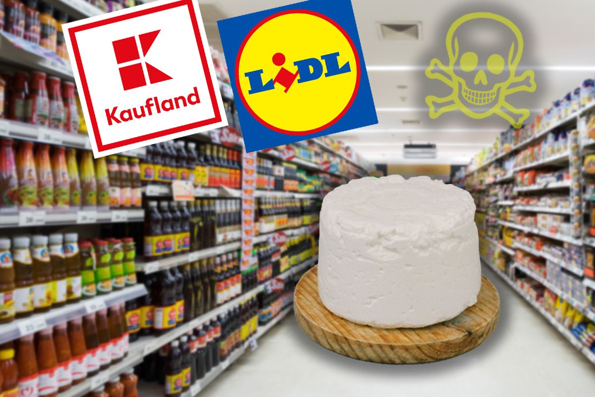 Din ce e făcută brânza vegetală din Lidl, Auchan sau Kaufland. Milioane de români nu știu ce mănâncă, de fapt