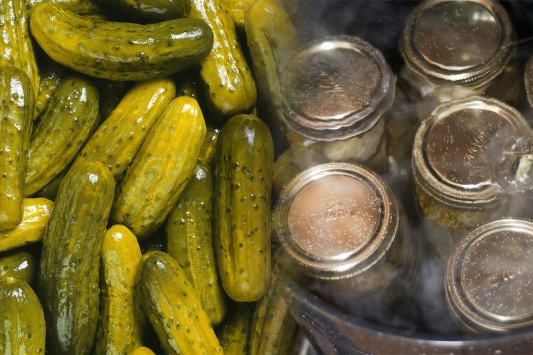 În ce să fierbi castraveții murați pentru un gust senzațional. Pontul marilor bucătari e genial