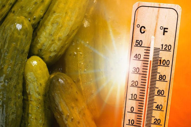 La ce temperatură trebuie să stea murăturile în cămară, de fapt. Greșeala care le face să se strice rapid