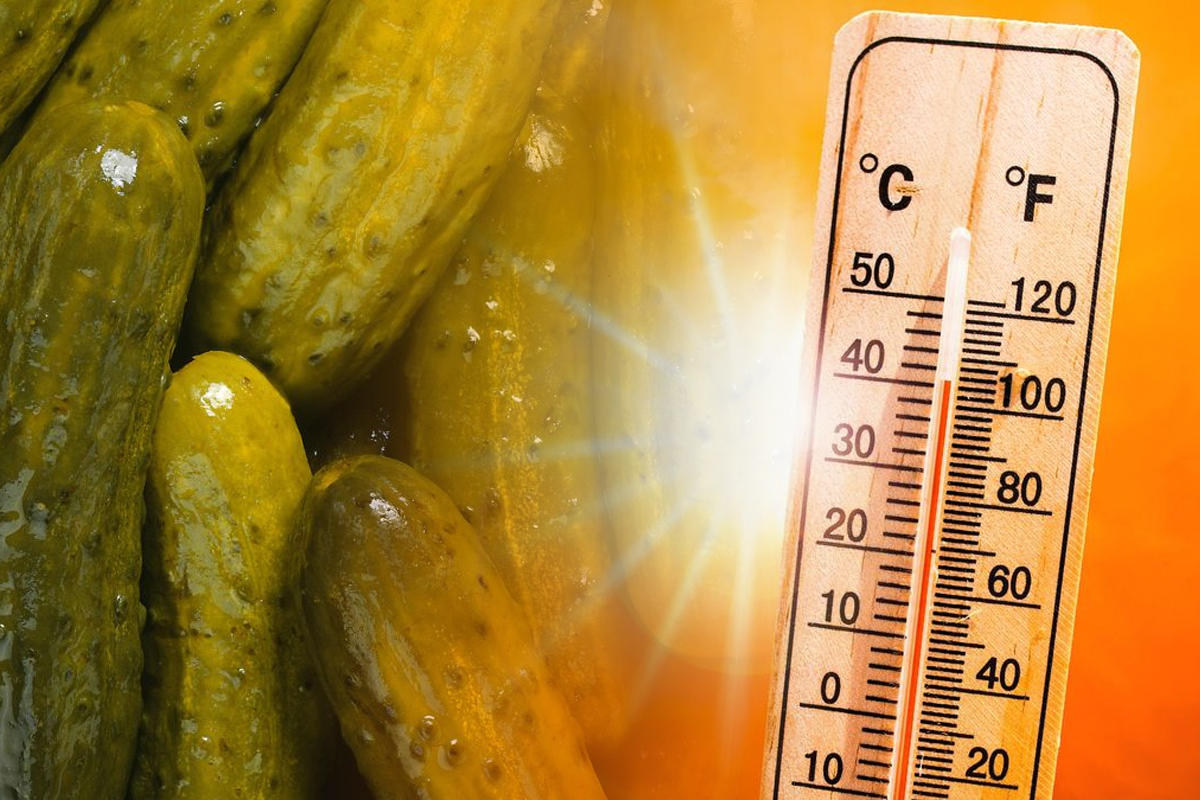 la ce temperatură trebuie să stea murăturile