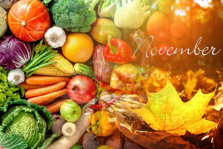 Legumele pe care să le cultivi în luna noiembrie, în grădină. Sunt rezistente la frig și dau roade bogate