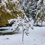 Localitatea din Romania unde este iarna in toata regula 2