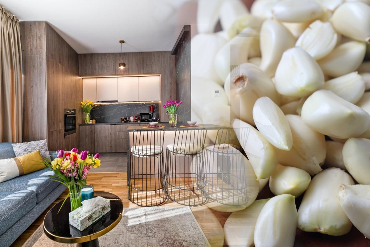 Locul din casa unde sa pui usturoiul pentru noroc