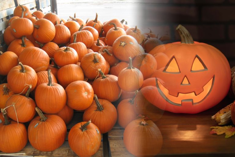 Modele de dovleci de Halloween 2023. Moduri creative de a-i sculpta și picta