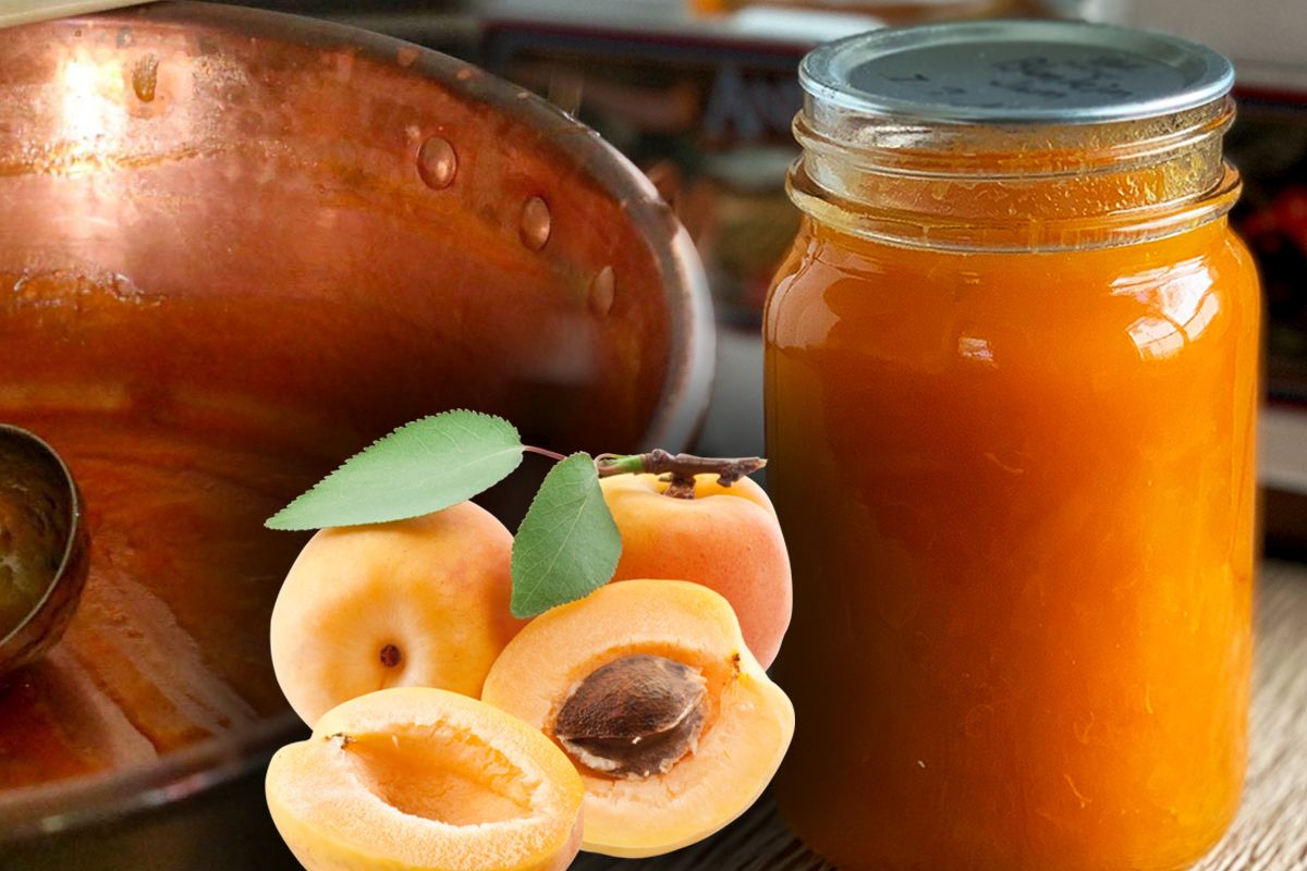 Nu mai arunca sâmburii caiselor. Nici nu te-ai fi gândit cât de utili sunt, de fapt