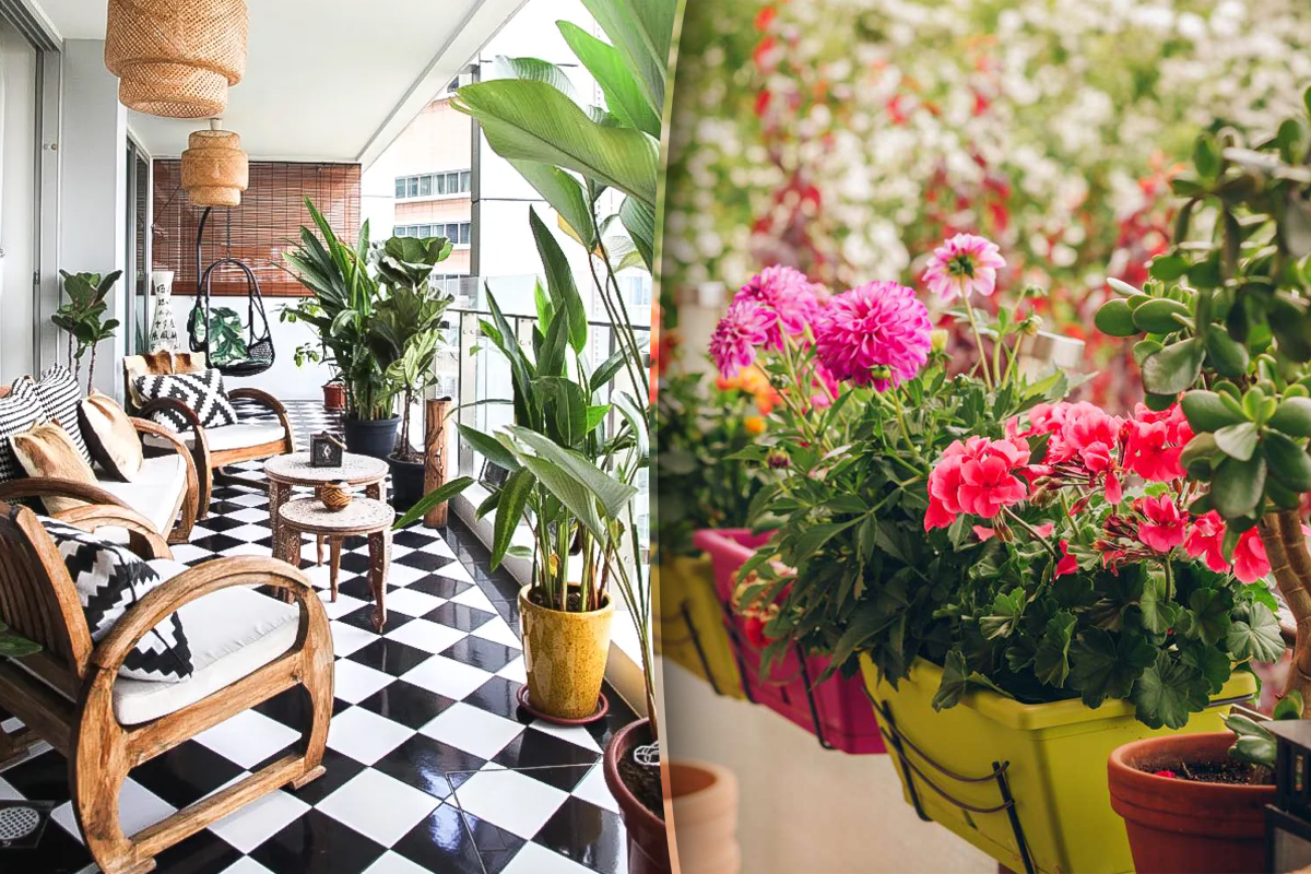 Plante pe care să nu le ții pe balcon