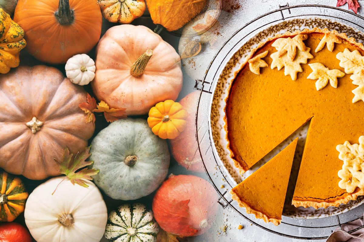 Secretul pentru cea mai buna plăcinta cu dovleac