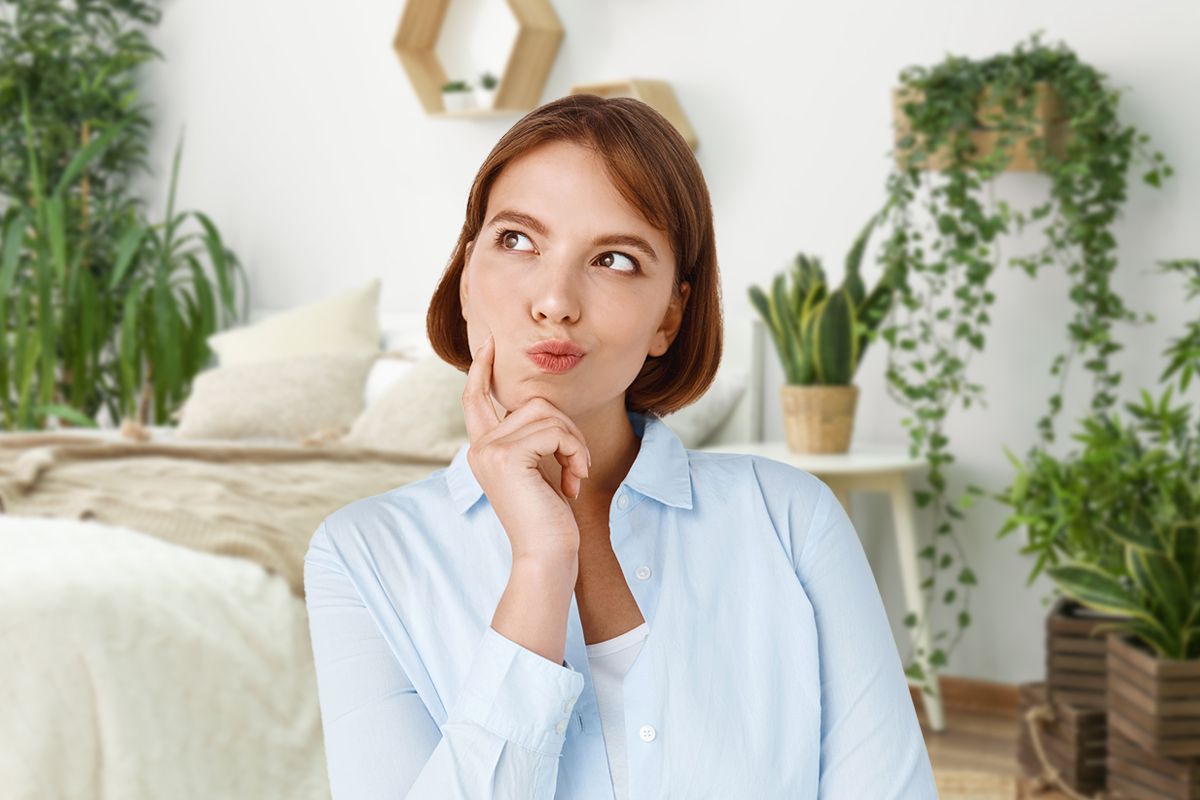 3 plante potrivite în dormitor