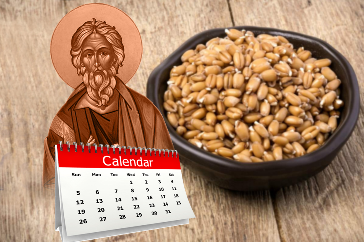 Când se pune grâu la încolțit de Sfântul Andrei 2023. Ce simbolizează acesta, de fapt