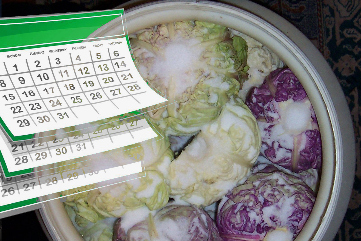Când trebuie pusă varza la murat. Momentul ideal ca să nu iesă prea acră