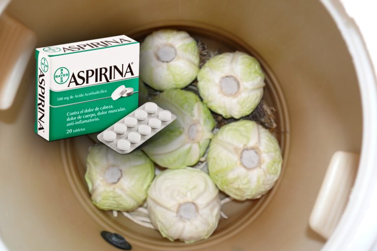 Câtă aspirină se pune la varza murată. Așa știi sigur că rezistă toată iarna și nu se strică