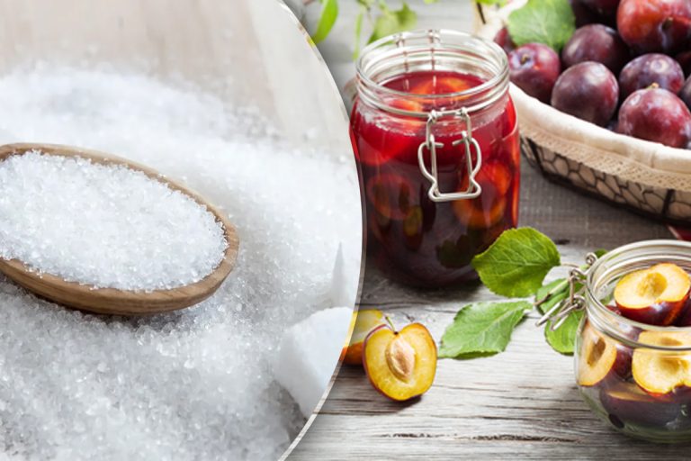 Câte linguri de zahăr se pun la compotul de prune. Puține gospodine știu rețeta corectă, de asta nu iese gustos