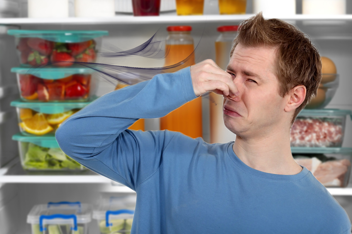 Ce să pui în frigider pentru a scăpa de mirosurile neplăcute. 4 metode banale care te ajută să rezolvi problema