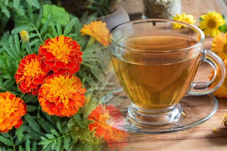 Ce semnificație au gălbenelele. De ce sunt speciale, 3 moduri surprinzătoare în care le poți folosi