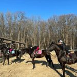 Cum arata si ce activitati inedite au copiii Elenei Basescu 4