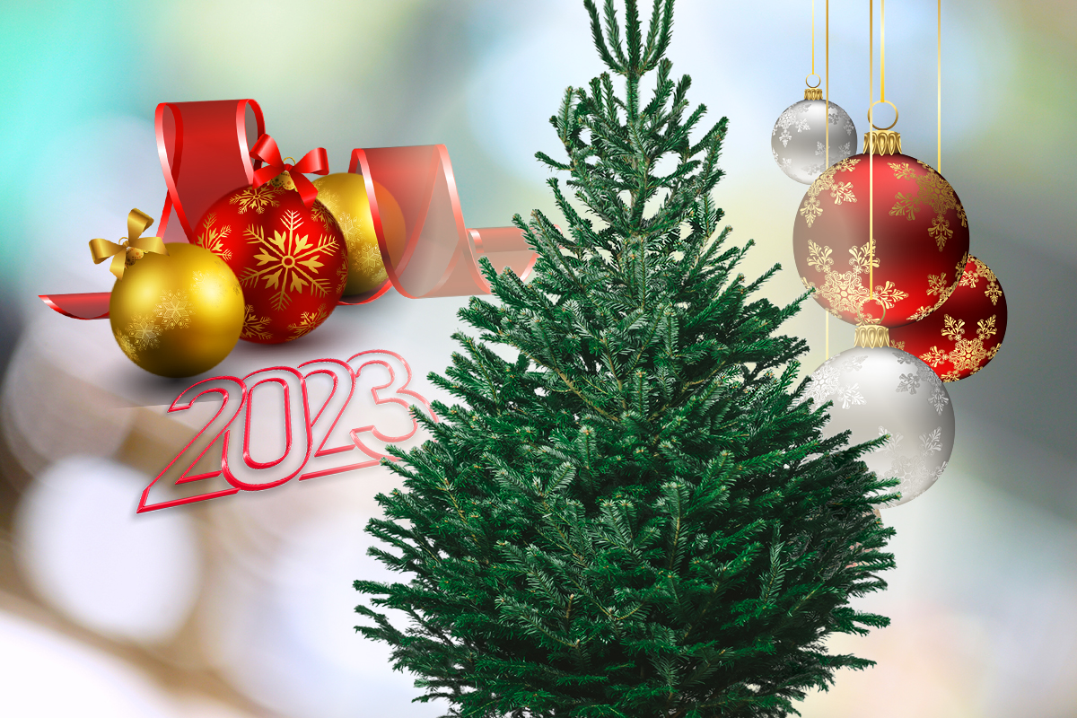 Cum decorăm bradul de Crăciun în 2023. Ce culori sunt la modă anul acesta