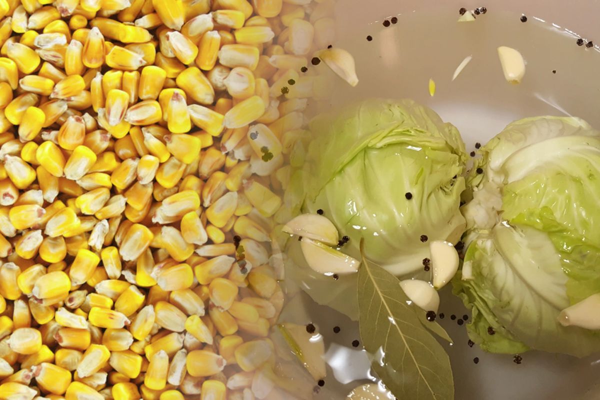 De ce sa pui boabe de porumb in butoiul cu varza murata. Gospodarii de la tara apeleaza la acest truc de sute de ani