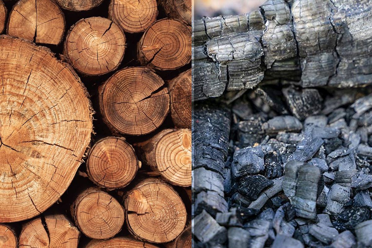 Nu mai arunca cenusa de lemn. E aur curat in gospodarie, 10 utilizari secrete de care nimeni nu stia