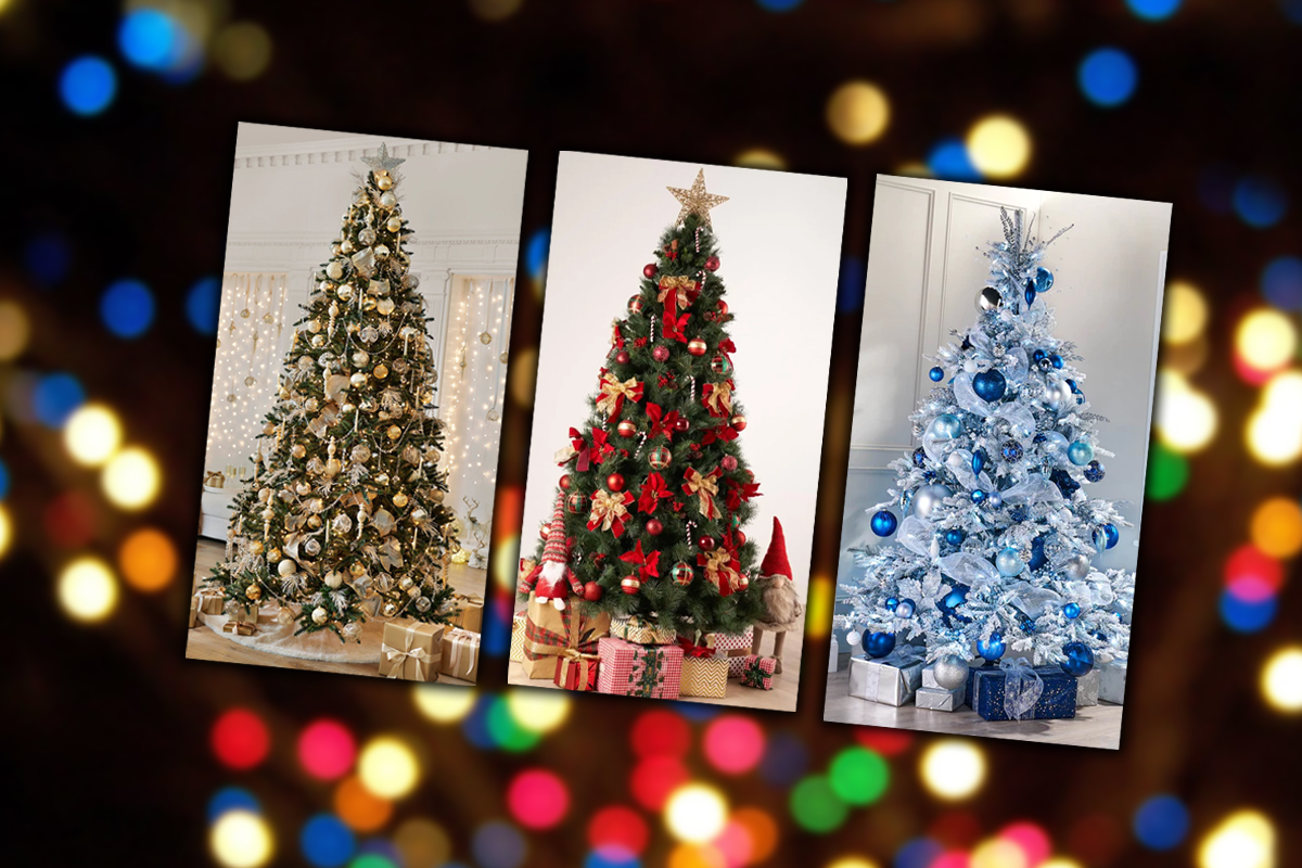 Tendințe brad 2023-2023