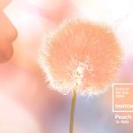 A fost desemnată culoarea anului 2024. Kate Middleton o adoră, e preferata ei