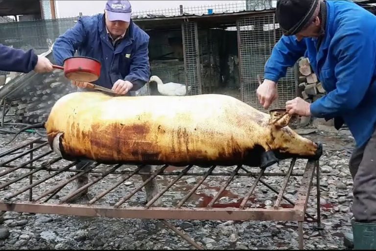 Când se taie porcii de Crăciun, de fapt. Tradiții și obiceiuri românești pe care puțini le știu