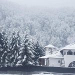 Cat costa cazarea la pensiunea Monicai Anghel 1