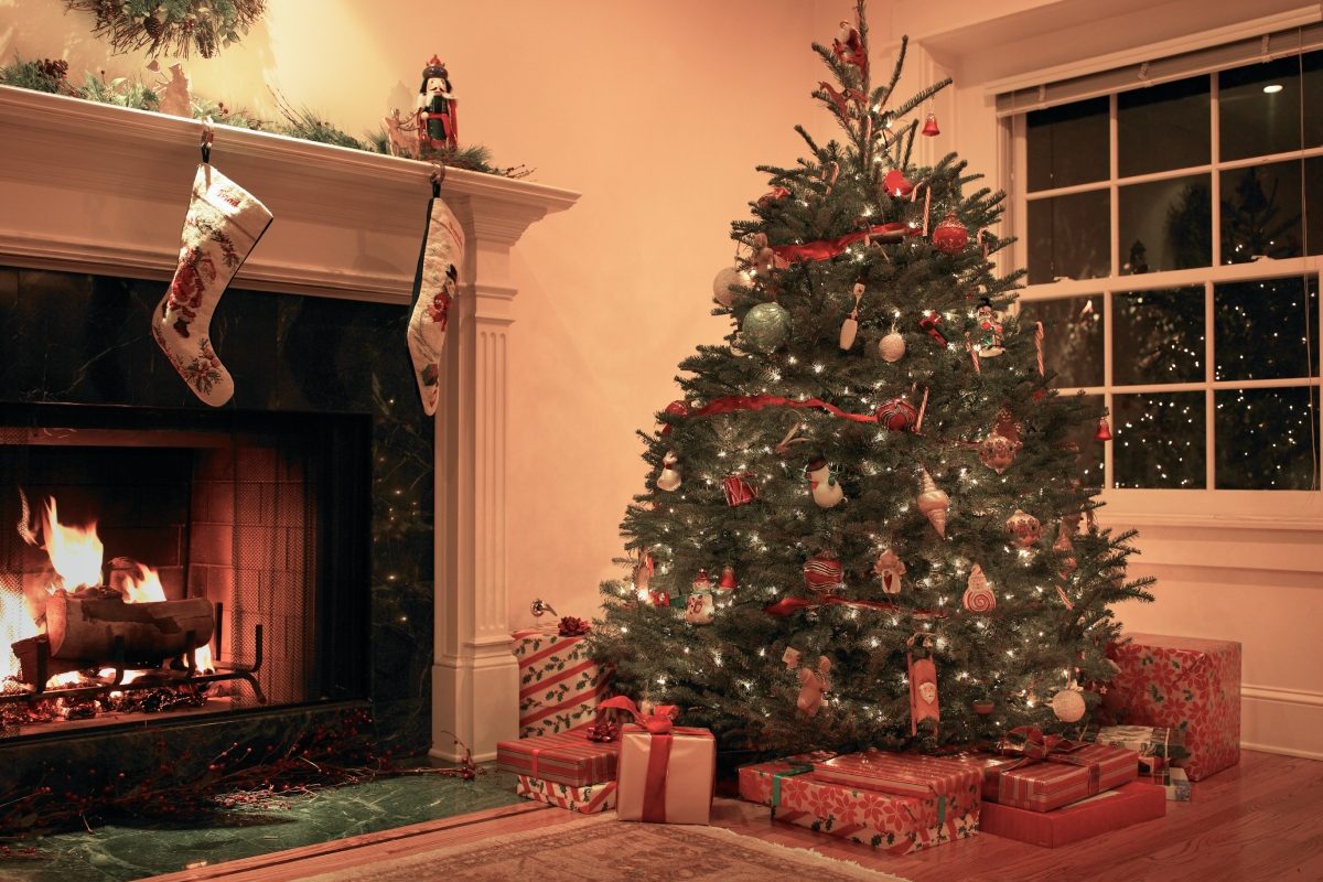 Cum alegi bradul de Craciun fara sa te pacalesti