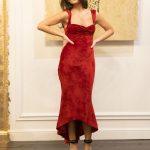 Ipostaza inedita in care Dana Budeanu s-a lasat fotografiata 4