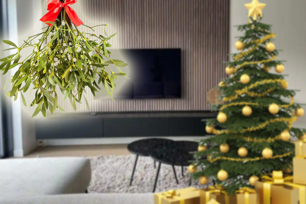 Locul din casa unde trebuie sa pui vascul de Craciun