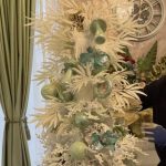 Obiectul din casa Gabrielei Cristea care a starnit reactii dure pe internet 2