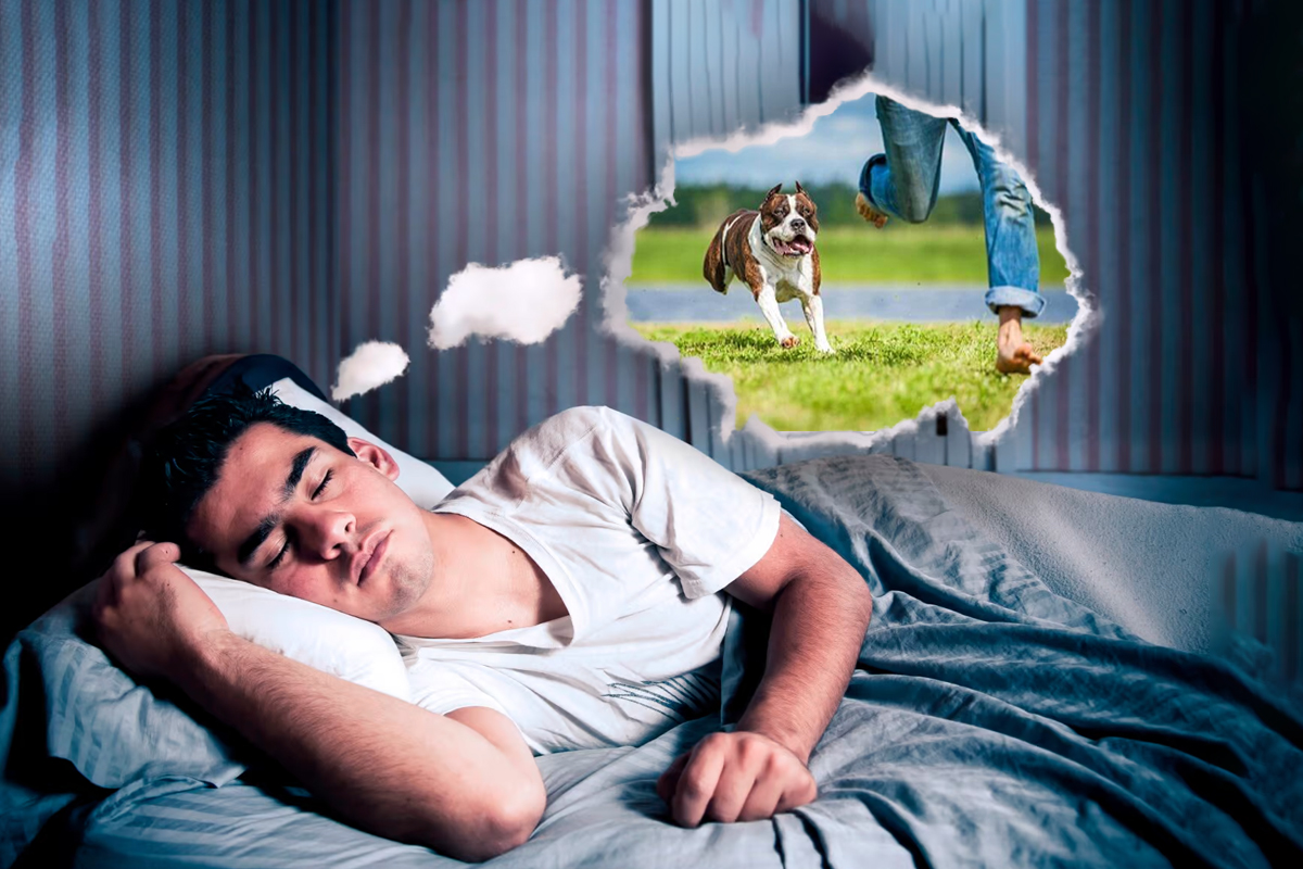 Ce inseamna cand visezi ca te fugareste un animal. Ce ascunde acest vis, de fapt