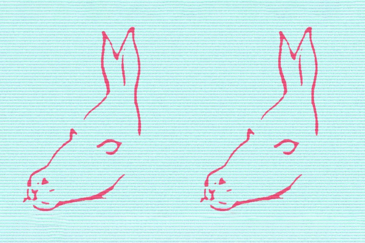 Ce vezi mai intai in imagine Testul care dezvaluie cel mai adorabil lucru despre tine