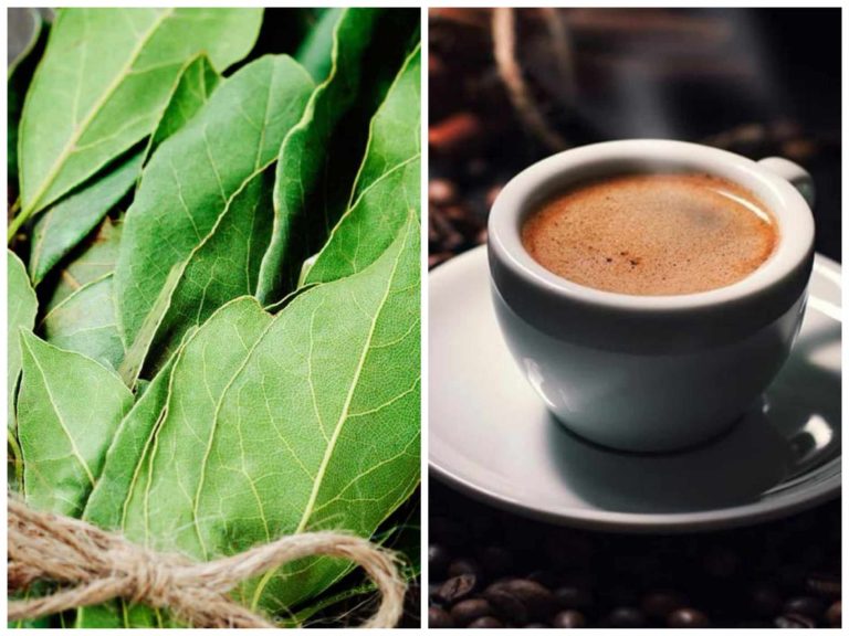 De ce să pui o frunză de dafin în ceașca de cafea. Efectul e nebănuit, te va surprinde total