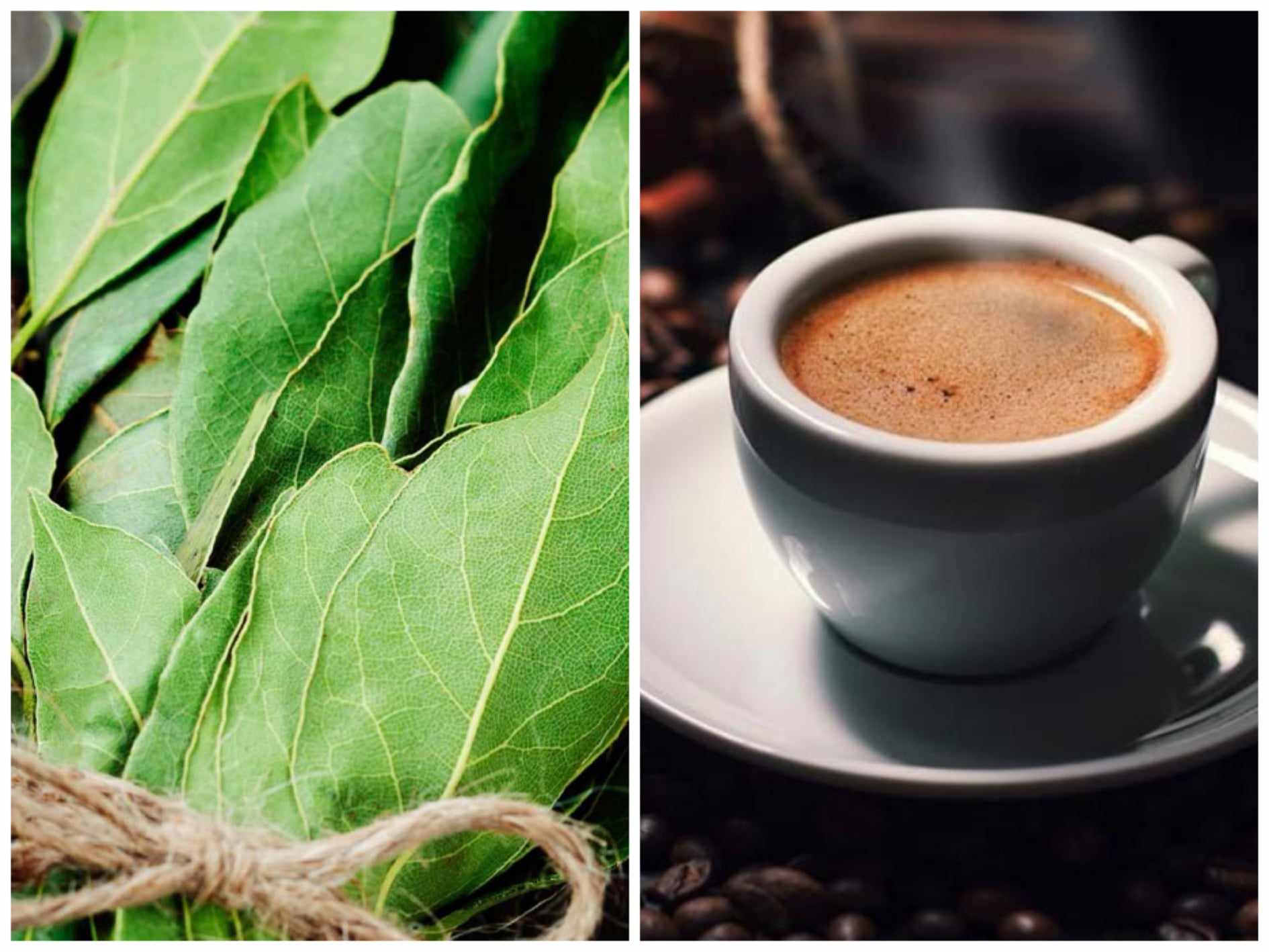 De ce sa pui o frunza de dafin in ceasca de cafea