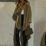 Dragostea pluteste in aer pentru Brad Bitt, la 60 de ani 1