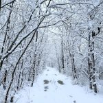 Smiley si Gina Pistol, imagine speciala 2